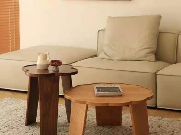 طاولتين قهوة مزدوجة حديثة